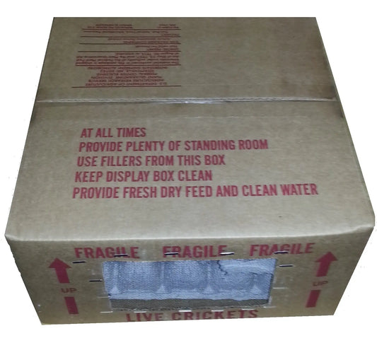 How-do-I-get-my-crickets-from-the-shipping-box-to-my-cricket-keeper BuyFeederCrickets.com