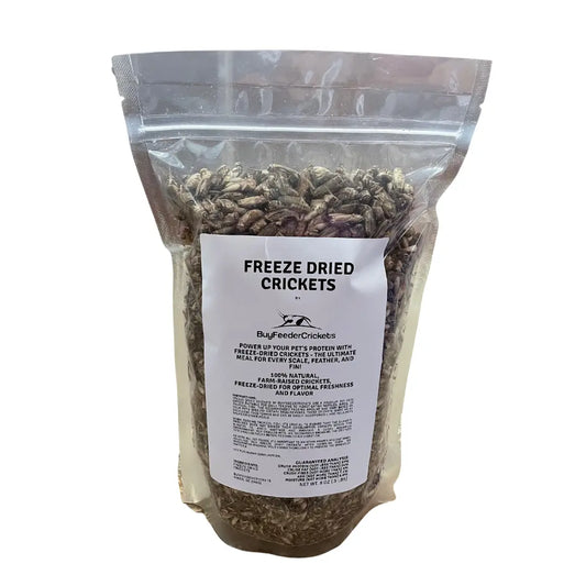 Freeze Dried Acheta Domesticus Crickets (Net WT. 8 oz) - BuyFeederCrickets.com