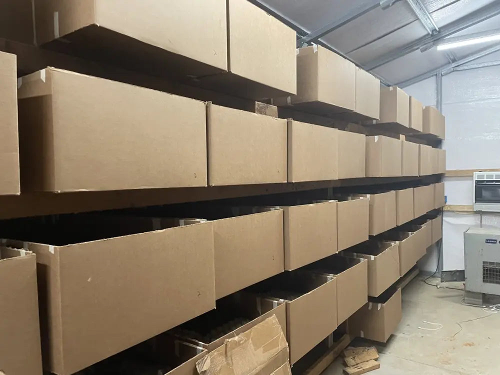 Rows of cricket rearing containers inside the family cricket business