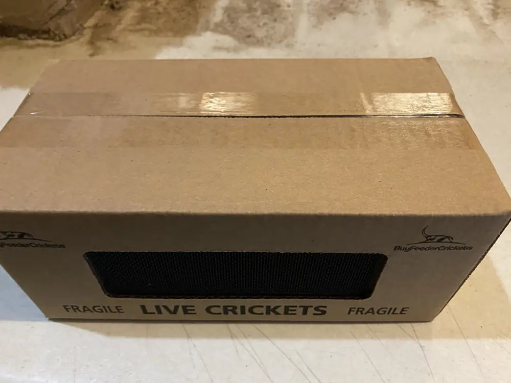 BuyFeederCrickets branded shipping box with a screened ventilation panel